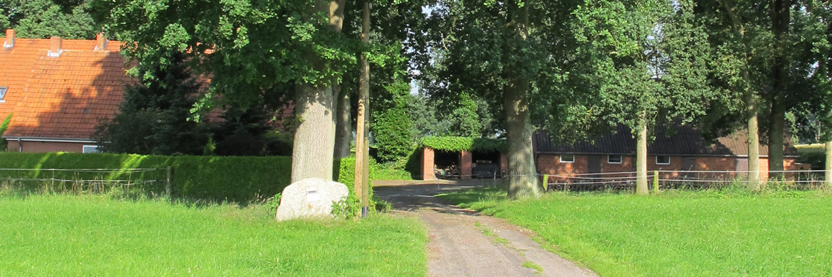 Image2