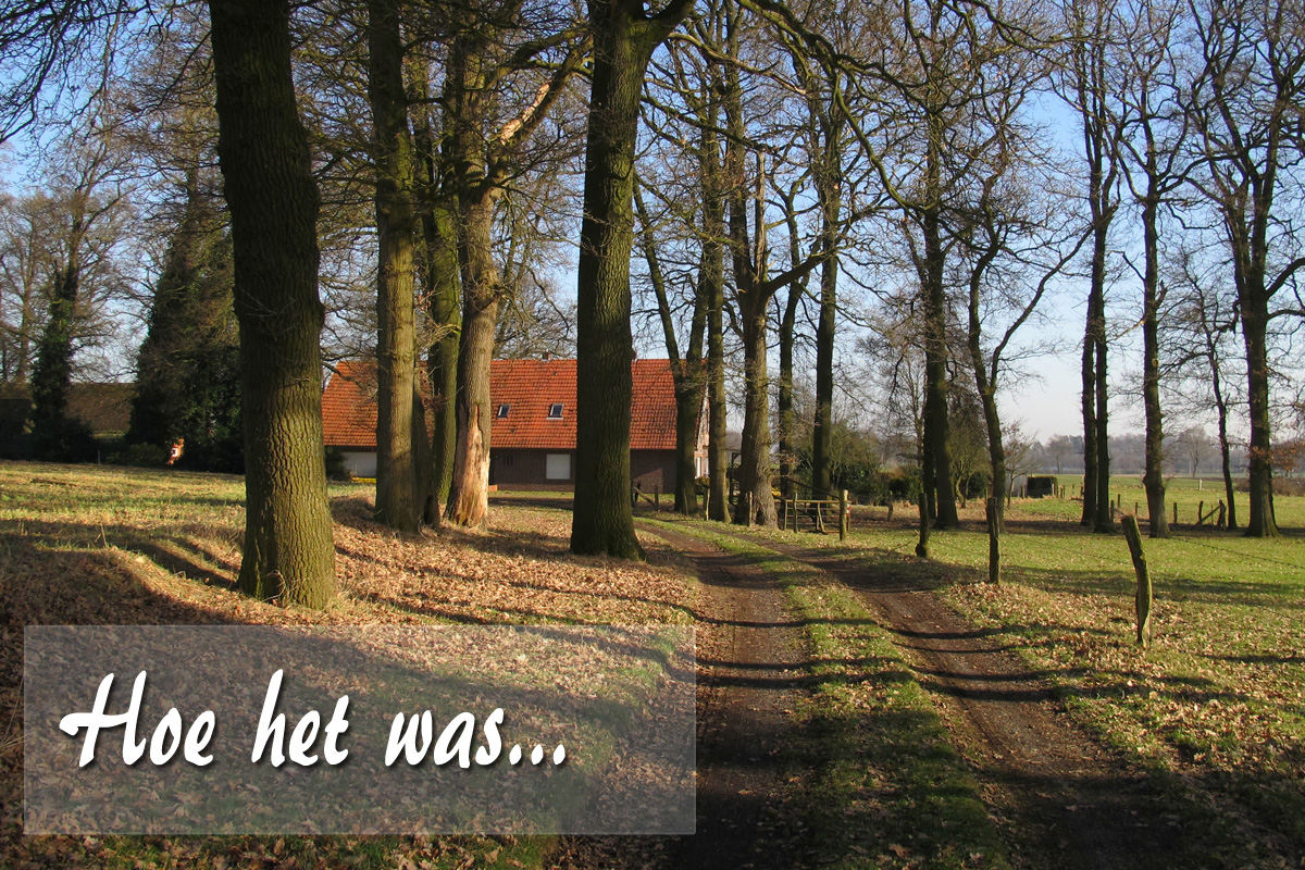 Prachtig vrijgelegen boerderij op 1,8 ha in Graafschap Bentheim, Duitsland.